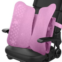 內地直送 - 靠墊人體工學腰墊椅子靠背汽車腰靠腰托腰椎呵護器辦公室透氣背墊