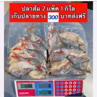 ปลาส้มปลาน้อย 2 เเพ็ค 300 บาท