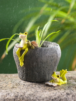 創意魚缸裝飾小擺件多肉花盆微景觀青蛙造景個性花園戶外盆栽飾品
