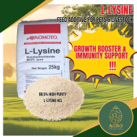 L-ysine Lysine Powder 98.5% - Supplement Ingredient 1KG