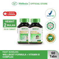 Paket Bundling - Wellcare Vitamin B Complex & Wellboost Formula Vitamin C + D + Zinc Isi 60 Tablet