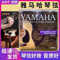 Tali Gitar Akustik, Yamaha, Set Penuh Loyang, Anti Karat, Sesuai untuk Gitar Akustik, Gitar Sejagat 