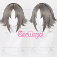 Mysta Cosplay Wig 32cm Short Dark Gray Wig Cosplay Anime Cosplay Wigs Heat Resistant Synthetic Wigs Halloween
