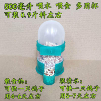 鳥用飲水器鴿子八哥鸚鵡自動喂食喂水下料水槽食盒鳥具用品喝水的