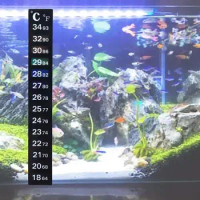 1Pcs Stick-on Digital Aquarium Fish Tank Fridge Thermometer Sticker Measurement Stickers Temperature Control Tools Products