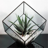 The Cube Shape Plant Solder Glass Terrarium Kit Creative Flower Vase Glass Flowerpots For Home Garden Wedding Decoration
