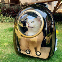 寵物背包  貓包外出雙肩包太空艙寵物包裝貓背包貓咪外出包便攜太空包透明包