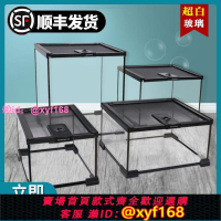 爬寵玻璃缸睫角守宮飼養箱鬃獅蜥蜴蛇角蛙樹蛙蜘蛛爬蟲生態雨林缸