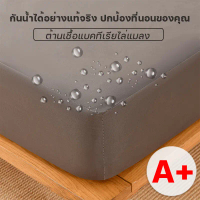 พร้อมส่ง 100% Waterproof Bed Sheet, Bed Sheet for 3 Feet, 3.5 Feet, 4 Feet, 5 Feet, 6 Feet, Dustproo