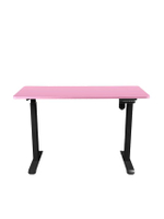 Ergonomic Desk โต๊ะปรับระดับอัตโนมัติด้วยระบบไฟฟ้า Size 160*80cm.. - Black/Pink