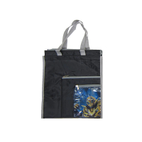 【SNOW.bagshop】才藝袋大容量可放A4資料夾(正版授權公司商品防水尼龍布上學書包外教具雨衣簡單提袋)