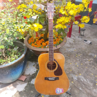 guitar acoustic Yamaha FG 251