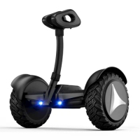 ZT High Quality 10 Inch 36V Kids' Scooters Max Load 100kgs Electric Balance Scooter