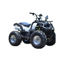 Automatic Engine ATVs 250cc 4x4 Off-Road ATV Water Cooled Gasoline Quad Bike