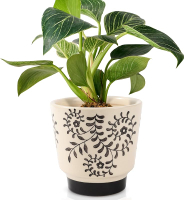 Indoor Ceramic Plant Pots with Drainage Holes 5 Inch Cute Succulent Flower Pots Small Orchid Planter