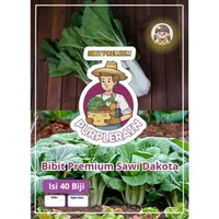Bibit Premium Sawi Dakota | Biji Benih Sawi Dakota | Sawi Dakota