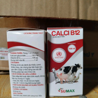 Canxi B12: Bổ sung canxi và VTM B12 giúp phòng trị các bệnh do thiếu canxi, thiếu máu, các chứng bại