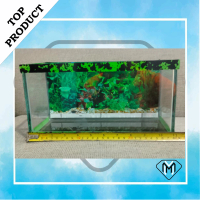 aqarium minimalis,aquarium untuk berbagai macam ikan hias cana ,aquarium ikan chana, aquarium yang b