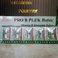 Pro b plek bolus vitamin B kompleks untuk ternak mengatasi stres dan meningkatkan daya tahan tubuh 1