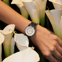 MIDO 美度官方授權 Baroncelli Prisma 綺彩鑲鑽機械女錶-M0072071111600/33mm