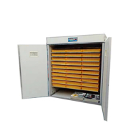 Fully Automatic 5280 Egg Incubator Small Chicken Egg Incubator For Poultry Farm Egg Hatching Machine