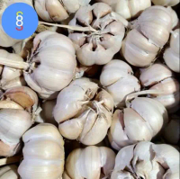 BAWANG PUTIH (SINCO) /  BAWANG PUTIH SEGAR 1 kg