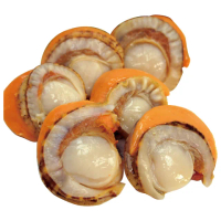 【優鮮配】特大2L北海道生食級特大-熟-含卵帆立貝5包(800G/包)
