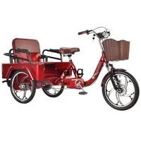 Yjq Elderly Pedal Electric Tricycle Elderly Leisure Scooter Integrated Wheel Lightweight Pedal Electric Car