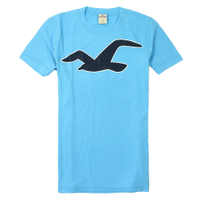 美國百分百【全新真品】Hollister Co. T恤 HCO 短袖 T-shirt 上衣 海鷗 天藍 圓領 Logo 男 S M XL