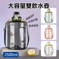 【樂豐生活】大容量雙飲運動水壺2.5L(4色)