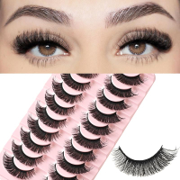 FARRED Natural Lashes Wispy False Eyelashes Fake Cat Eye Lashes Pack 10 Pairs Natural Look Lash Stri