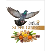 JAMU MERPATI MGINSENG TEKI KOREA 100 PIL merpati Cepat Giring keras extra ginseng teki nt  sl hff rb