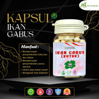 ARRA HERBAL Kapsul Ikan Gabus Kutuk 50 Kapsul, 100% Ekstrak Asli Tanpa Campuran, Halal MUI, Membantu