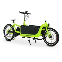 2 wheels cargo bike with lithium battery aluminium alloy bike frame for selling