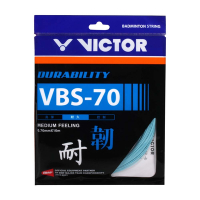 VICTOR 耐久羽拍線-韌-盒-日製 羽球線 勝利 VBS-70-M-10 SETS 水藍