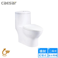 【CAESAR 凱撒衛浴】二段式省水單體馬桶/管距30(CF1375 不含安裝)