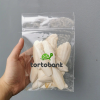 TULANG SOTONG UTUH PREMIUM - CUTTLEFISH BONE - KALSIUM KURA DARAT - KALSIUM TORTOISE - KALSIUM BURUN