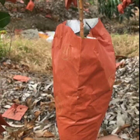 防蟲袋 水果套袋 芒果套袋專用袋 芒果專用套袋包芒果袋子 芒果防蟲袋保護芒果紙袋