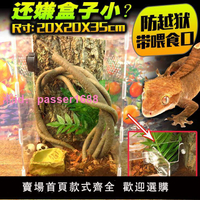 爬寵飼養盒亞克力飼養箱樹蛙睫角守宮套餐爬寵造景盒蜥蜴喂食盒子