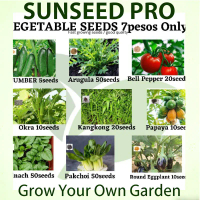 VALUE PACK SEEDS ( ARUGULA, KANGKONG, PAPAYA , CUCUMBER, BELL PEPPER,OKRA,SPINACH,PAKCHOI,EGGPLANT )