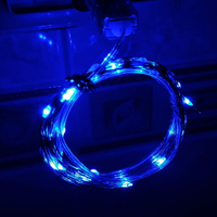 可遙控銅線燈串(藍光)-5米50燈 LED燈佈置燈 戶外裝飾照明景觀燈 DIY聖誕燈樹燈圍牆掛燈