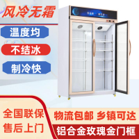 飲料柜冷藏保鮮商用大容量冰柜單雙門超市冰箱啤酒蔬菜立式展示柜