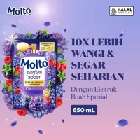 Konsentrat Pewangi Pakaian Molto Refill Sunshine Bloomy, French Raspberry, Active, Soft, Sport, Gent