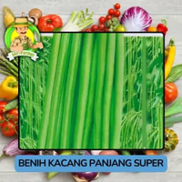 Benih Kacang Benih Bibit Murah Berkualitas Kacang Panjang Super