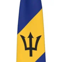 Barbados Flag Emblem Striped Necktie Men'S Neck Ties Mens Party Business Neckties Soft Skil Tie