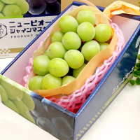 【WANG 蔬果】日本麝香無籽葡萄1房x2盒(淨重670-750g/串_禮盒/特大串)