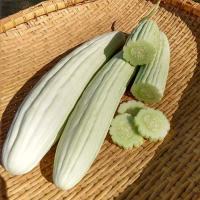 Armenian Cucumber, Tortarello Abruzzese Bianco (Organic) Cucumber Seed - Rare Flower