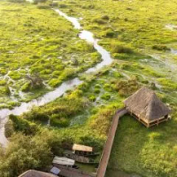 住宿 Little Okavango Camp Serengeti, A Tent with a View Safaris Itonga