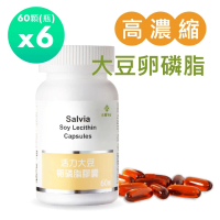 【佳醫】Salvia高濃度活力大豆卵磷脂膠囊6瓶共360顆(孕媽咪哺乳好幫手天然清道夫促進新陳代謝)