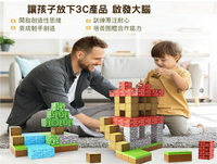 磁力場景方塊積木 益智磁力方塊積木 拼裝 迷你方塊 Minecraft 益智 男童 拼搭別墅房子 生日禮物 轉蛋 模型